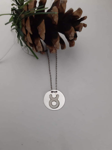 Taurus Special Silver Necklace