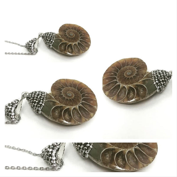 Natural Stone Ammonite Fossil Necklace